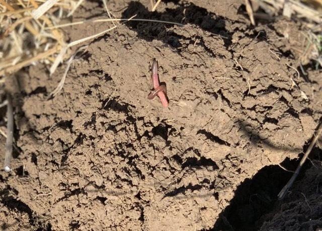 Replenishing the Soil